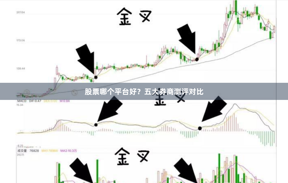 股票哪个平台好？五大券商测评对比