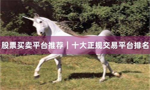 股票买卖平台推荐｜十大正规交易平台排名